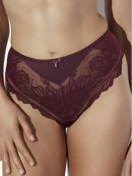 Ava 2276 Merlot High-Rise Briefs, Lace and Mesh, Burgundy