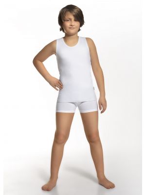 На картинке изображено - Комплект белья для мальчика (майка и боксеры) Cornette 867/01 134-164 | фото 1