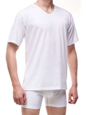 На картинке изображено - Мужская футболка с коротким рукавом Cornette Authentic 201 4-5XL