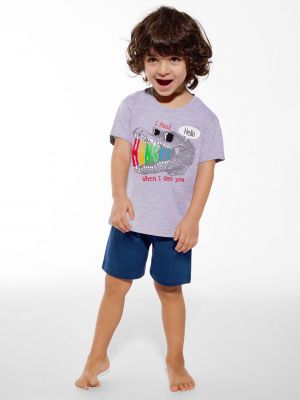 На картинке изображено - Двухцветная пижама / домашний комплект для мальчика Cornette 438/115 Hungry (140-164) | фото 1