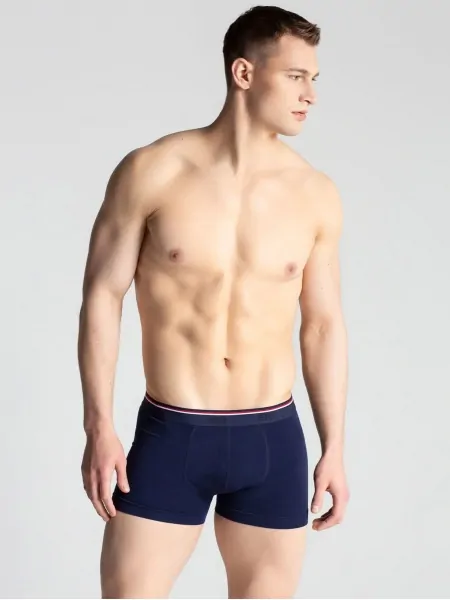 На картинке изображено - Мужские трусы боксеры из вискозы Gatta Boxer Modal | фото 1
