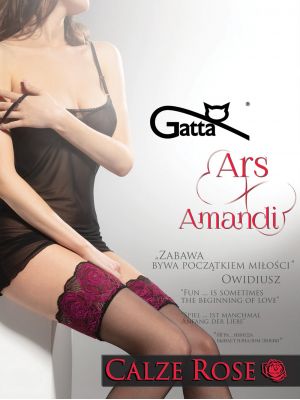 text_img_altWomen's thin stockings with a lace crown Gatta Calze Rose 20 dentext_img_after1