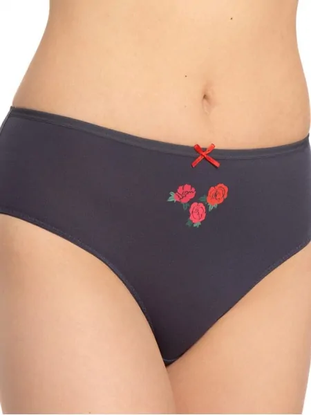 Set of women's closed cotton panties slips with high waist Lama L-122BI-61 3-pack, size S-XL