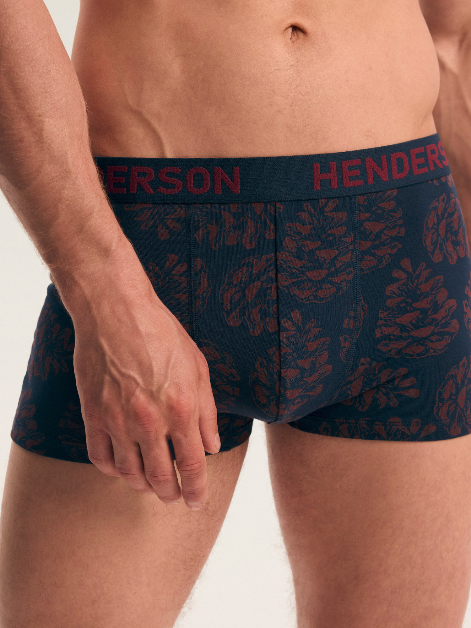 Мужские трусы боксеры короткие Henderson 46101 Fawn, 2 шт, эластичный широкий пояс #3 Мужские трусы боксеры короткие Henderson 46101 Fawn, 2 шт, эластичный широкий пояс #3