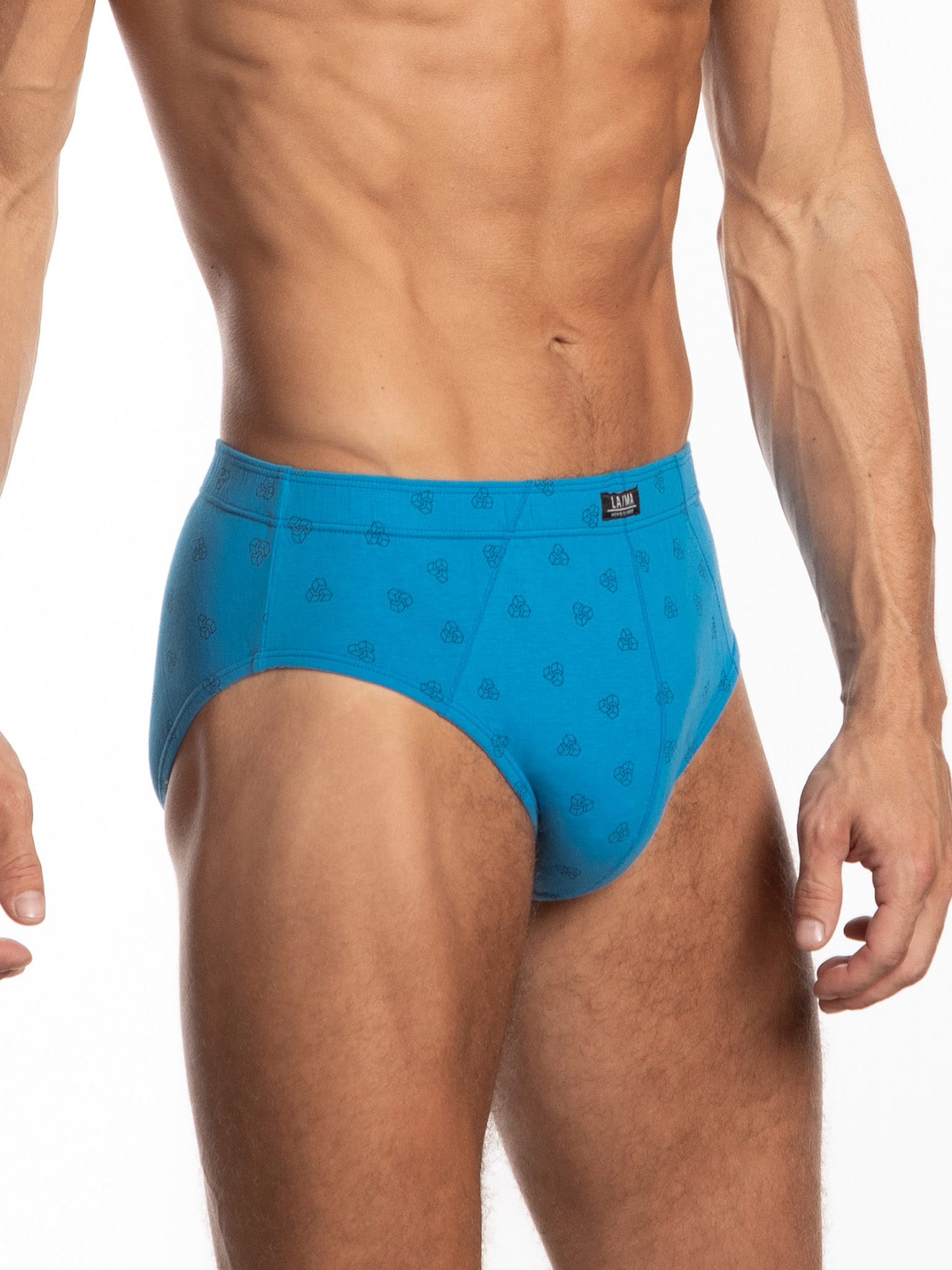 Комплект классических трусов слип Lama Classic M-110CL-19 3XL-4XL 3-pack #2 Комплект классических трусов слип Lama Classic M-110CL-19 3XL-4XL 3-pack #2